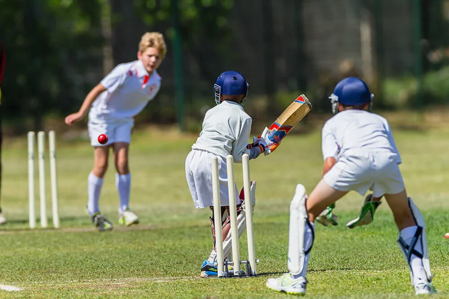 Smart Cricket
