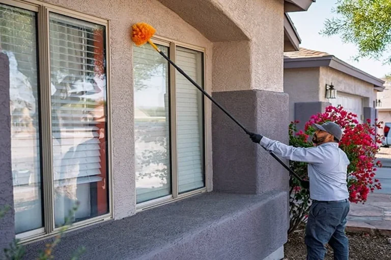 Effective Pest Control Tucson Services For A Safe Home