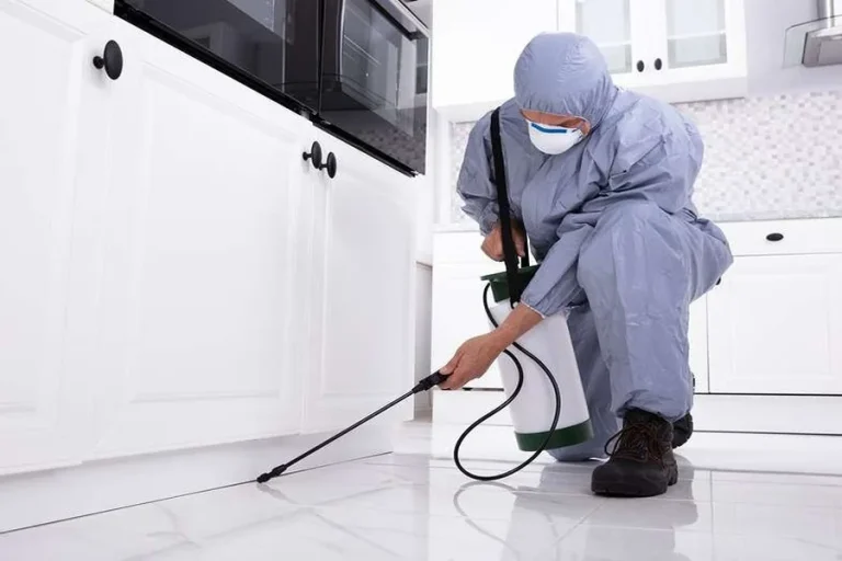 Reliable Pest Control Wilmington DE Services For Every Home