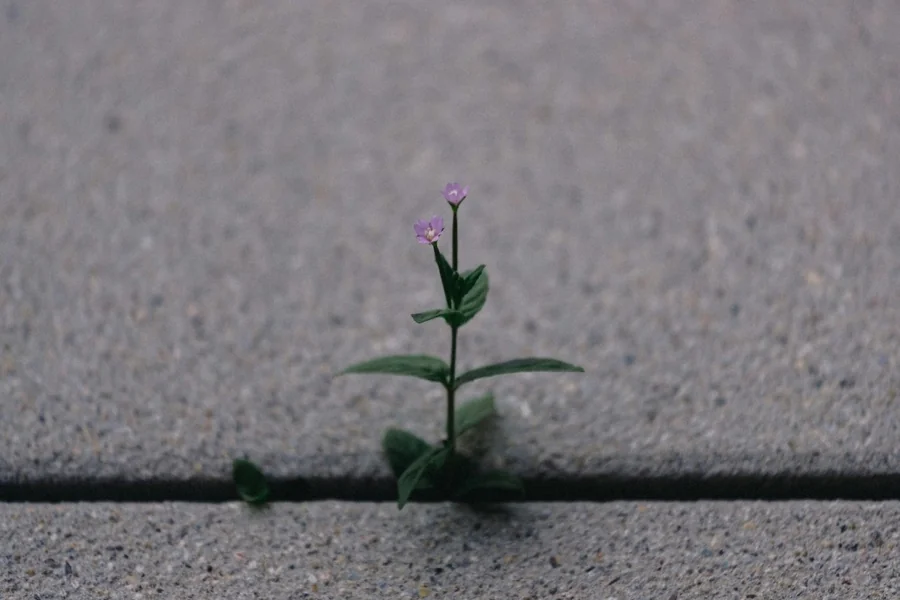 Persistence
